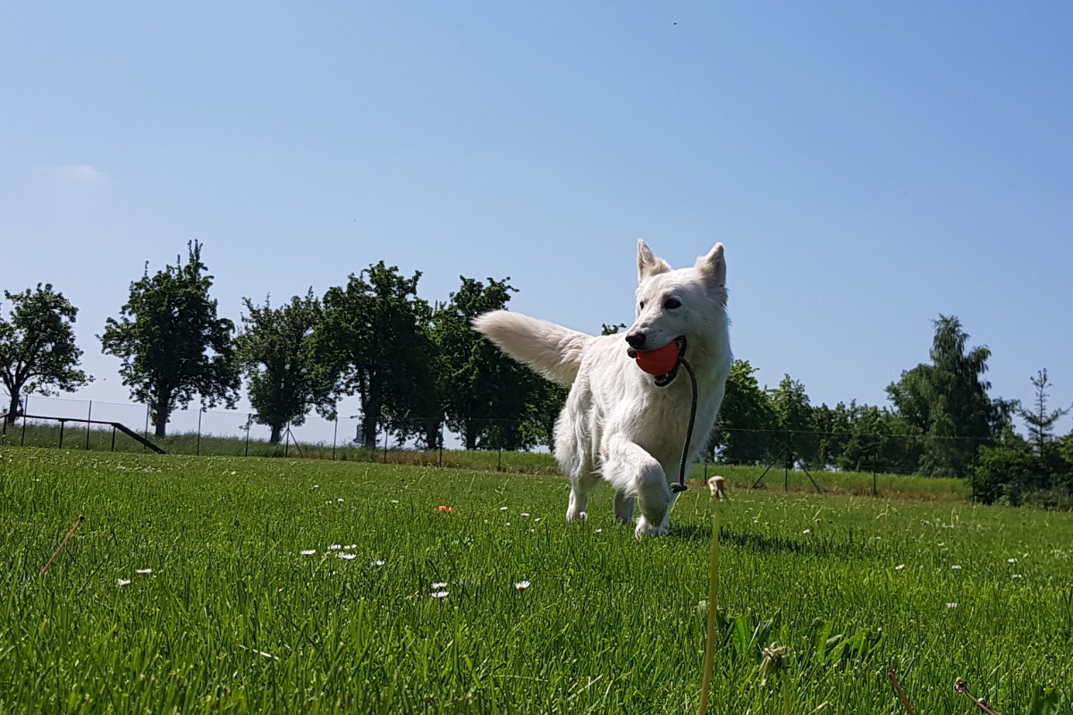 a5