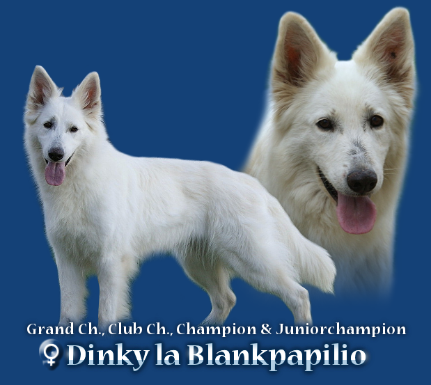 dinky klik a